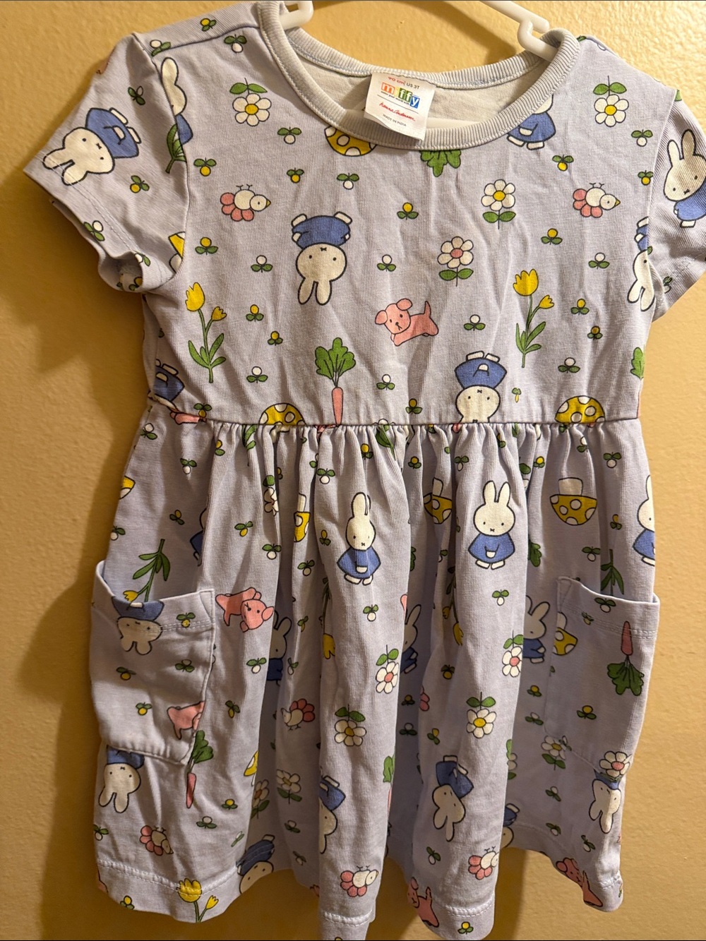 Hanna Andersson Light Blue Floral Miffy dress